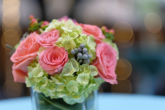 ChaniAviEngagement-A13
