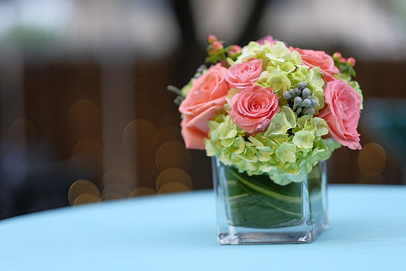 ChaniAviEngagement-A16