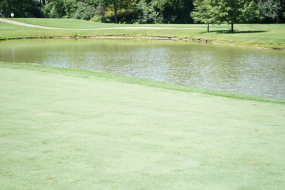 ChooseChicagoGolf-A28