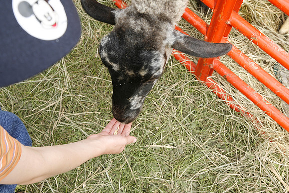 Jewishfest08-B024