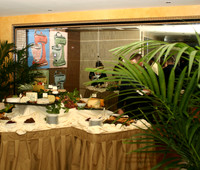 DINE-A11