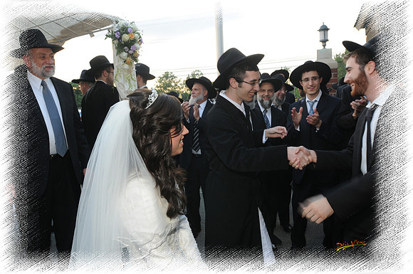 WeissWedding SP08