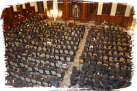 HespedimSteinman SP06