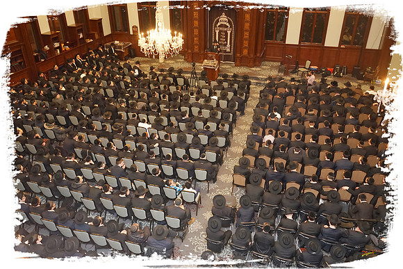 HespedimSteinman SP06