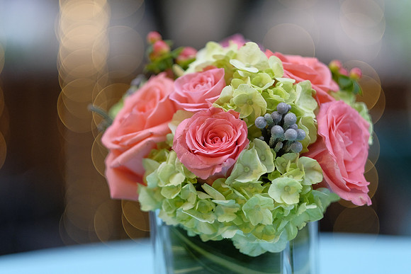 ChaniAviEngagement-A14