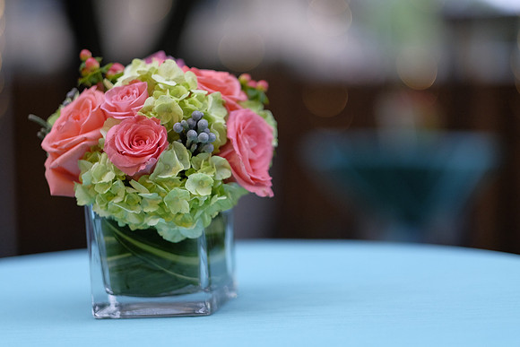 ChaniAviEngagement-A17