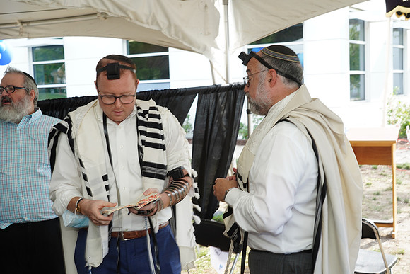 KormanTorah-D100
