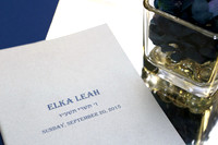 Elka Shenker Bat Mitzvah Photos
