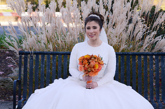 SussmanWedding-A013