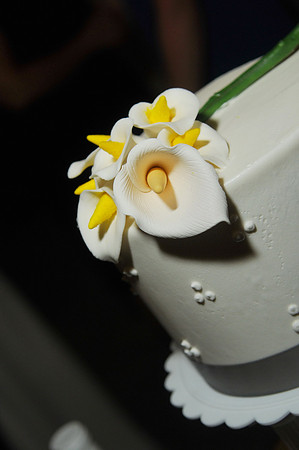WeissWedding-D086