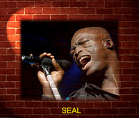 f-Seal_2