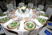 BrightStarGala-A10