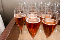 SanFranciscoPhillyReception-A10
