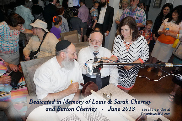 CherneyTorah-B81