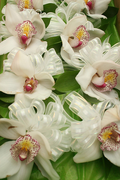 FrancesJohnWedding-A044