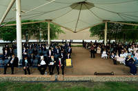 Rosenman-D016