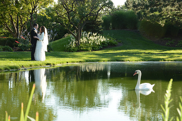 FrankWedding-B056
