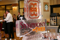 SymphonyDyer-A09
