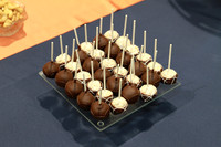 Choshen Mishpat Photos 2017