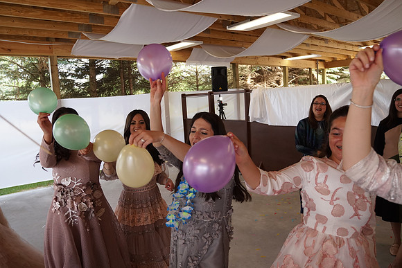Shulman-G059