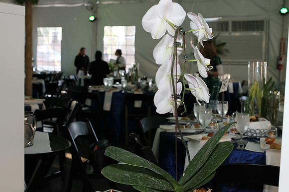 YMHCTorahBanquet-A24