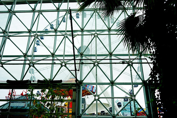 Fifth-Third-NavyPier-A14