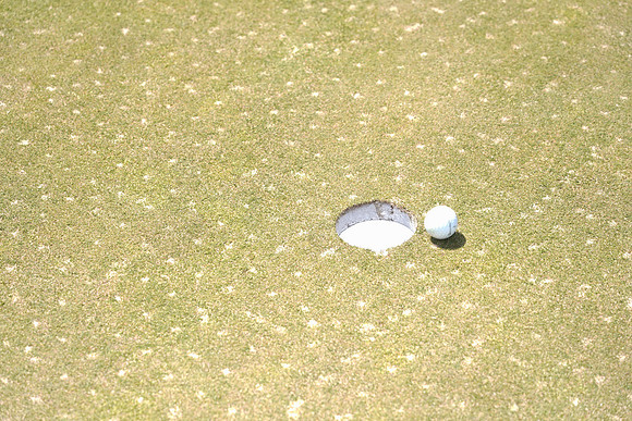 PNCGolfDallas-D14