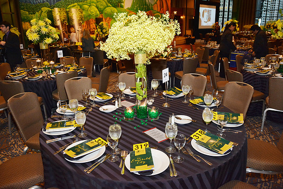 LittleCityGala55th-A03