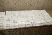 MannMayerWedding-A03