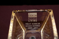 AccessLAwards14-A02