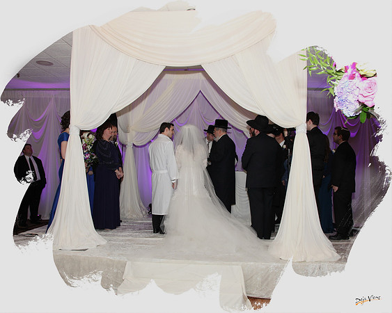 FriedmanWedding SP04