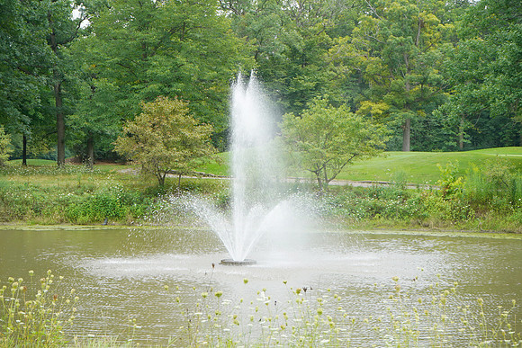 LibenuGolf-B014