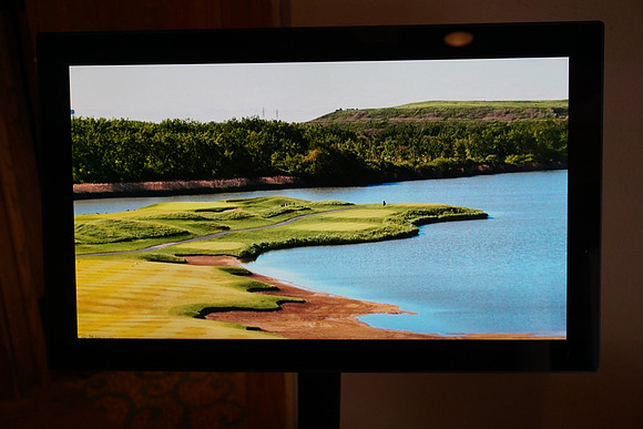 ChooseChicagoGolf-A30