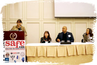 SafeCon SP06
