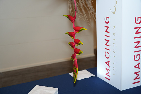 ImaginingTheIndian-A35