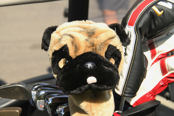 SBACGolf2017-A03
