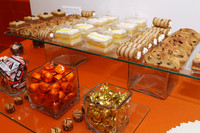 VeitzenerKollelReception-A10