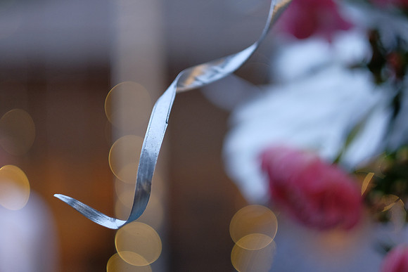 ChaniAviEngagement-A31