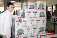 AgudahPesachFoodPantry-A13