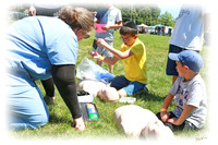 Refuah311HealthFair SP04