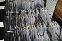 ChiCATGrandOpening-A10