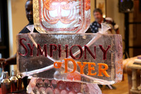 Symphony of Dyer Indiana Photos