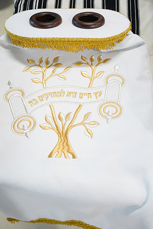 TorahDedicationEastLakeviewChabad-B006