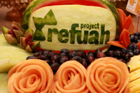ProjectRefuahKumzits-A02