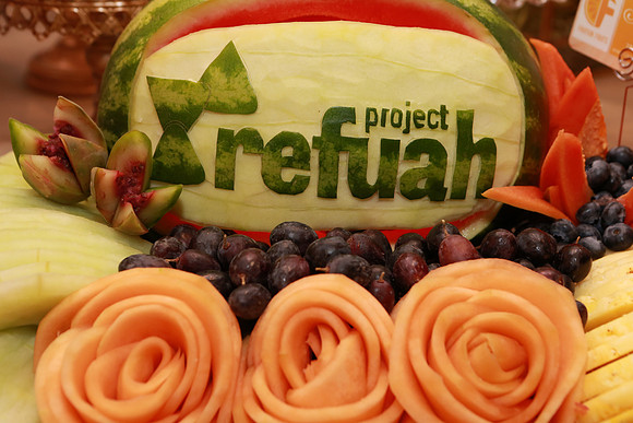 ProjectRefuahKumzits-A02