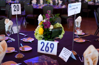AccessLGala2017-A15