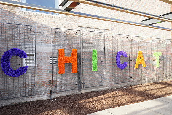 ChiCATGrandOpening-A02