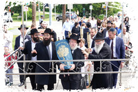 MadisonTorah SP06