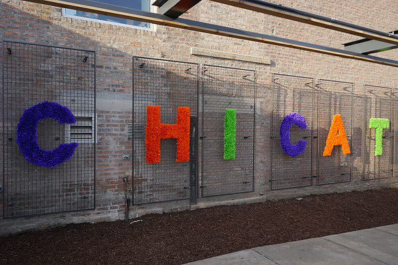 ChiCATGrandOpening-A01