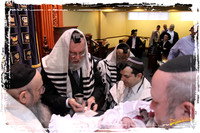 YitzchakBrit SP08